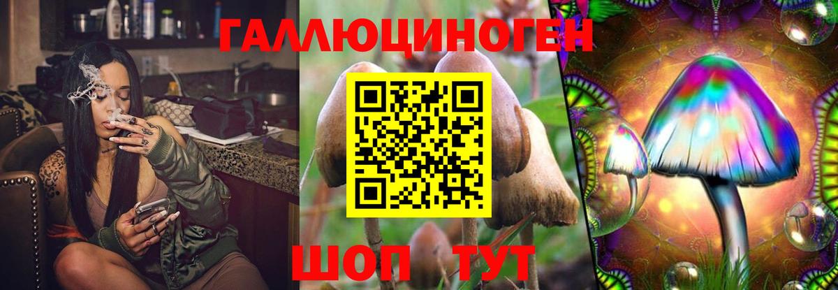 Псилоцибиновые грибы Psilocybine cubensis Губкин